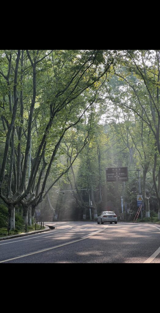 八月 祝我们渐入佳境 不畏人言不畏岁月 明媚且张扬 - 沈楠.论坛 - 抖音专栏 - 阿里文案馆