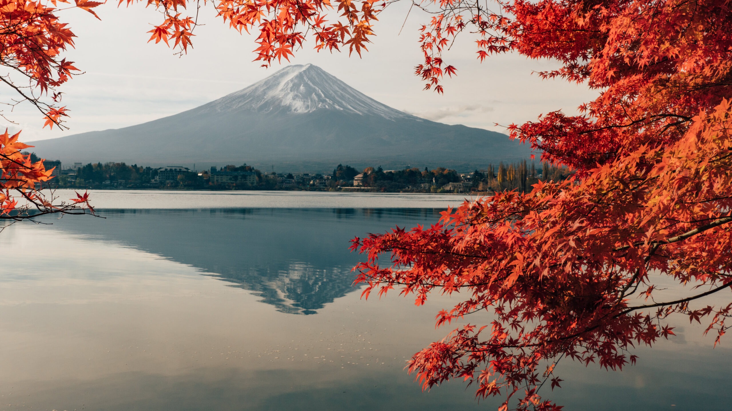 5120×2880自然景观壁纸 – 日本川口湖富士山秋季红叶小镇湖水风光 - 阿里文案馆