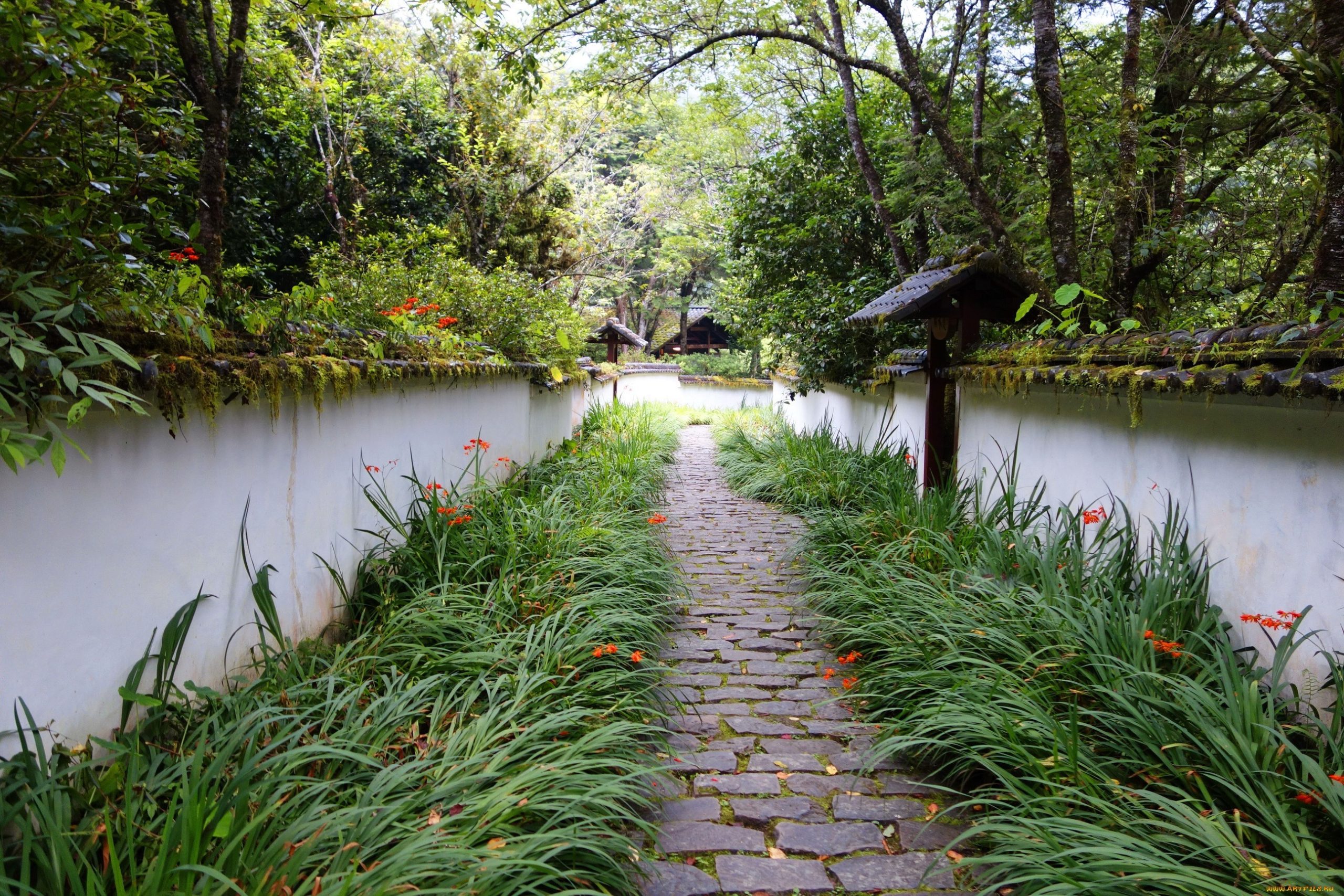 户外花园植物水景壁纸 – 2592×1728高清自然风光图 - 阿里文案馆