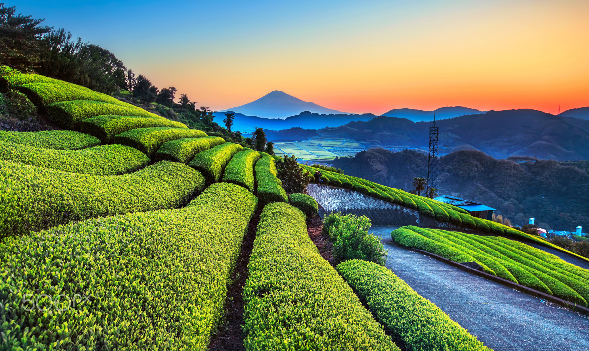 茶园山脉风景壁纸 夕阳余晖自然美景 | 2048×1222 - 阿里文案馆